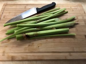 Rhubarb