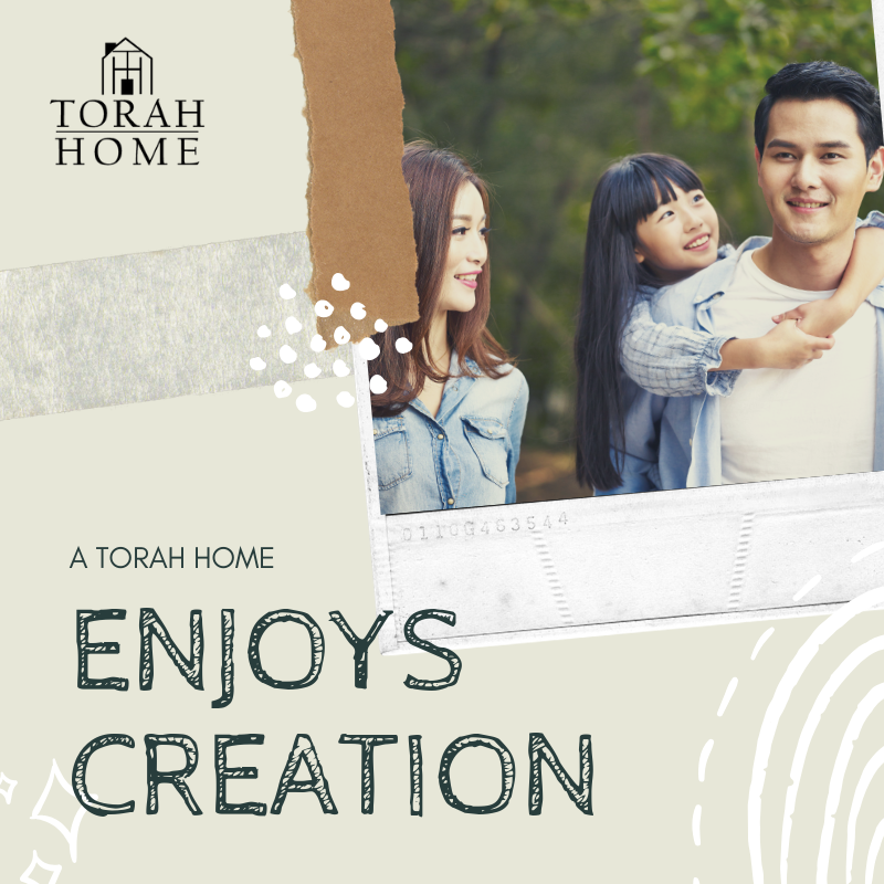 A Torah Home is a Home That Enjoys Creation | TorahHome.com