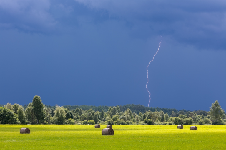 Summer Storms