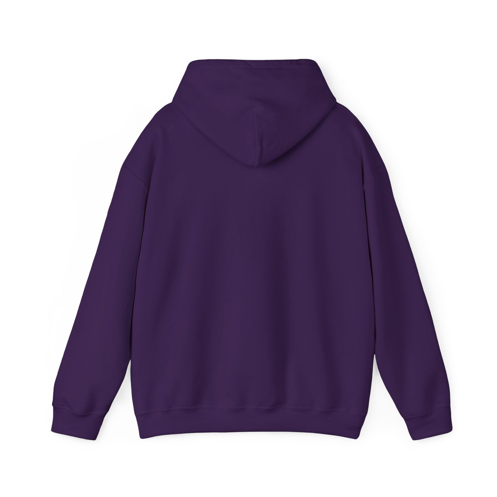 Adult Yeshua The King Hoodie — "Yeshua, The King Is Coming" Biblical Lion Faith Evangelistic Pullover - Image 3